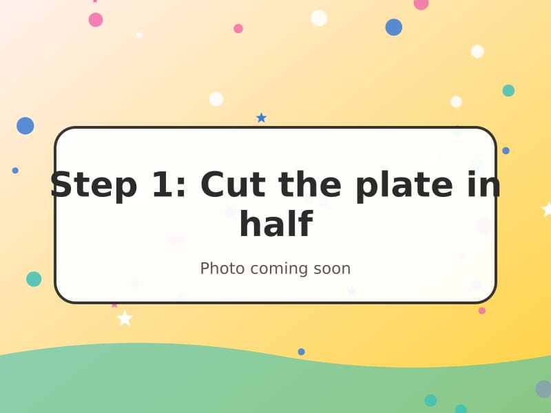 A paper plate cut neatly in half